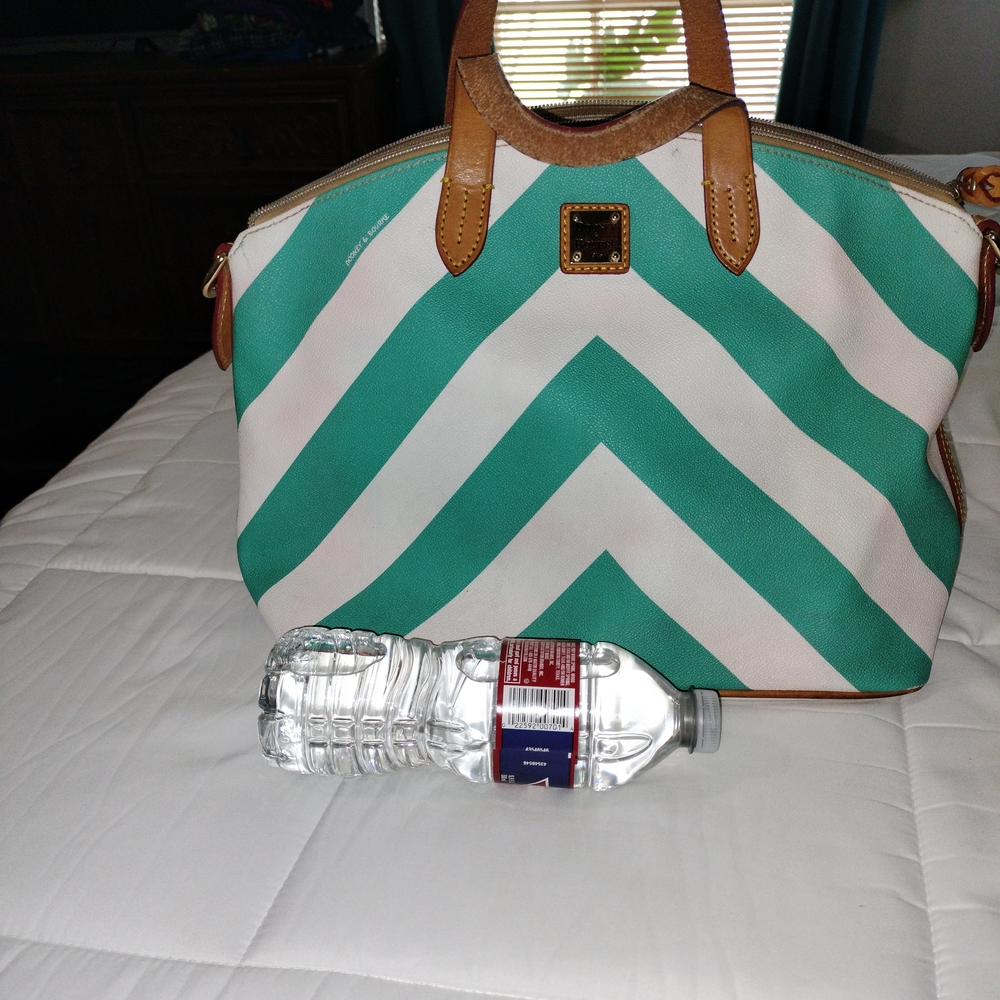 Dooney & Bourke Green and White Chevron Tote Bag